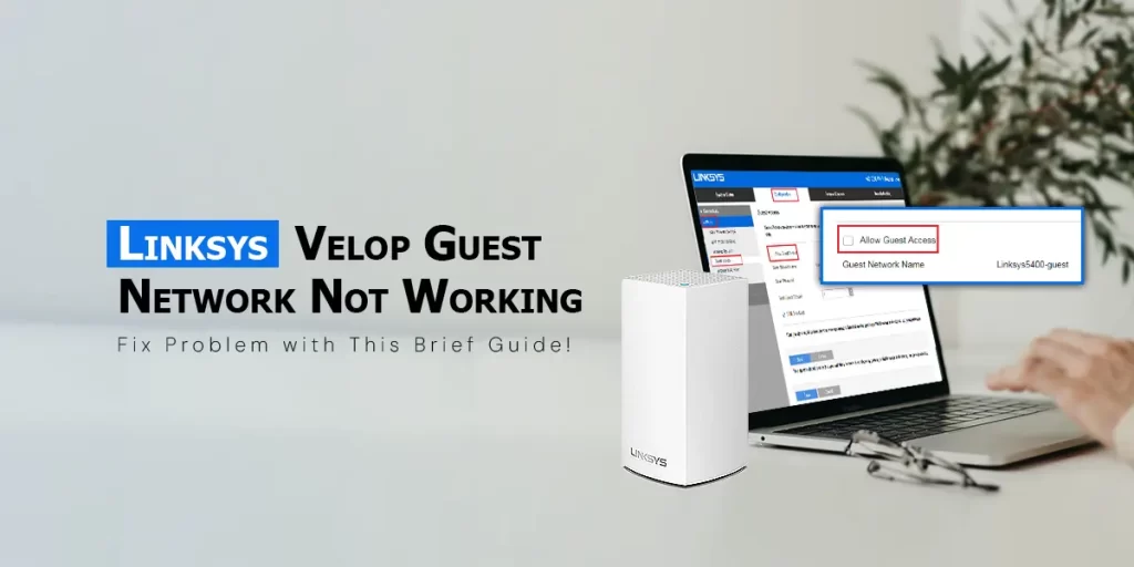 Linksys Velop Guest Network Not Working